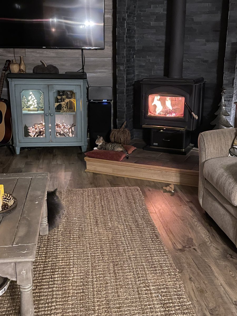 The pillow by the woodstove has to stay ❤️🐈‍⬛🐈
First used by Sook (50 years ago)
Gimpy (1991-2000)
Pat the Cat (2002-2017)
Peaches (2017-2022)
Tinsel (2023- )