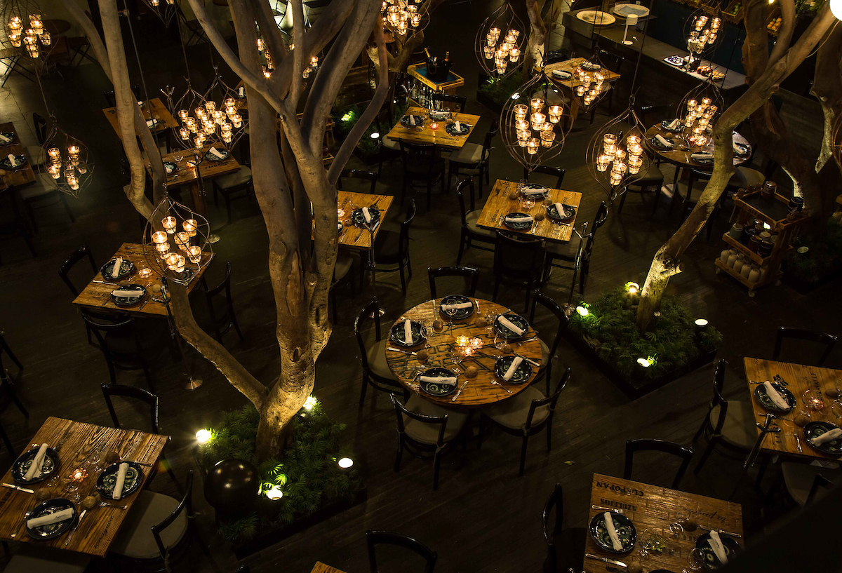 AZUL_CDMX's tweet photo. En el corazón del Centro de la CDMX, Azul Histórico cobra vida al caer la noche. Una mágica atmósfera envuelve el lugar, iluminando tus noches. Descubre la exquisitez de la cocina mexicana bajo la luces de Azul Histórico. 🌙🍽️ https://t.co/5KbBJpqF61