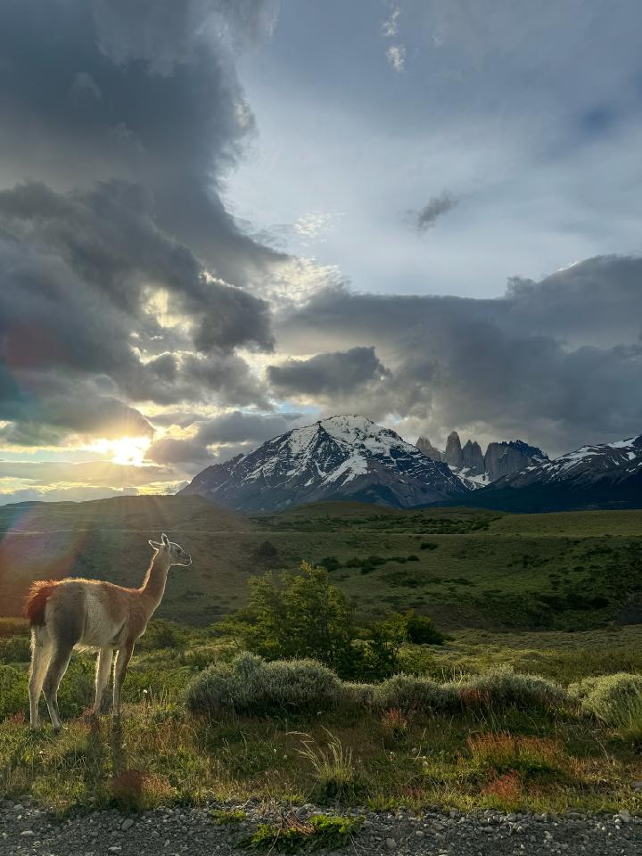 Best postcard of the chilean Patagonia. @PatagonJournal #Chile @ecocamp_travel