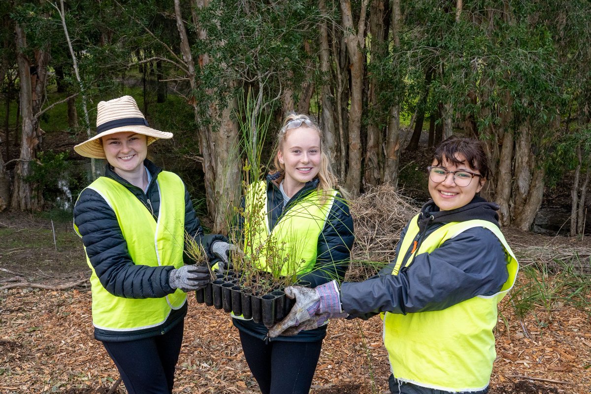 🌿✨ This International Volunteer Day, 5 December 2023, let's celebrate the power of collective action! 🙌 #IVD2023 #IfEveryoneDid

Make a difference for nature from home or at one of our on-ground events. Download our Community Hub app and get started!

buff.ly/3uCrROG