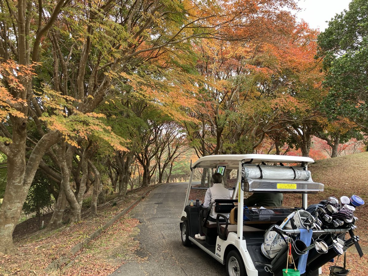 TaddyBe67848124's tweet photo. 万木城。天気はイマイチだけれど紅葉が残ってる。
#万木城カントリークラブ https://t.co/8FSUKkOUjr