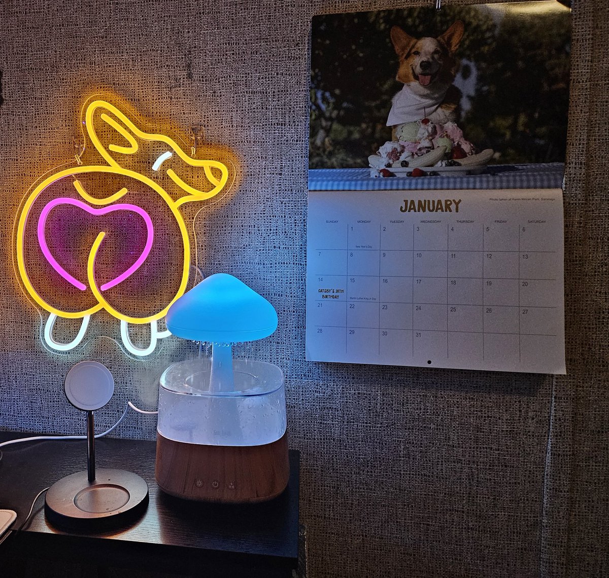 AshaaToLast's tweet photo. My desk is ready for 2024 now that I got my autographed #corgionfleek calendar in the mail from @ryenlung! :3 https://t.co/NjPe3Zsny7