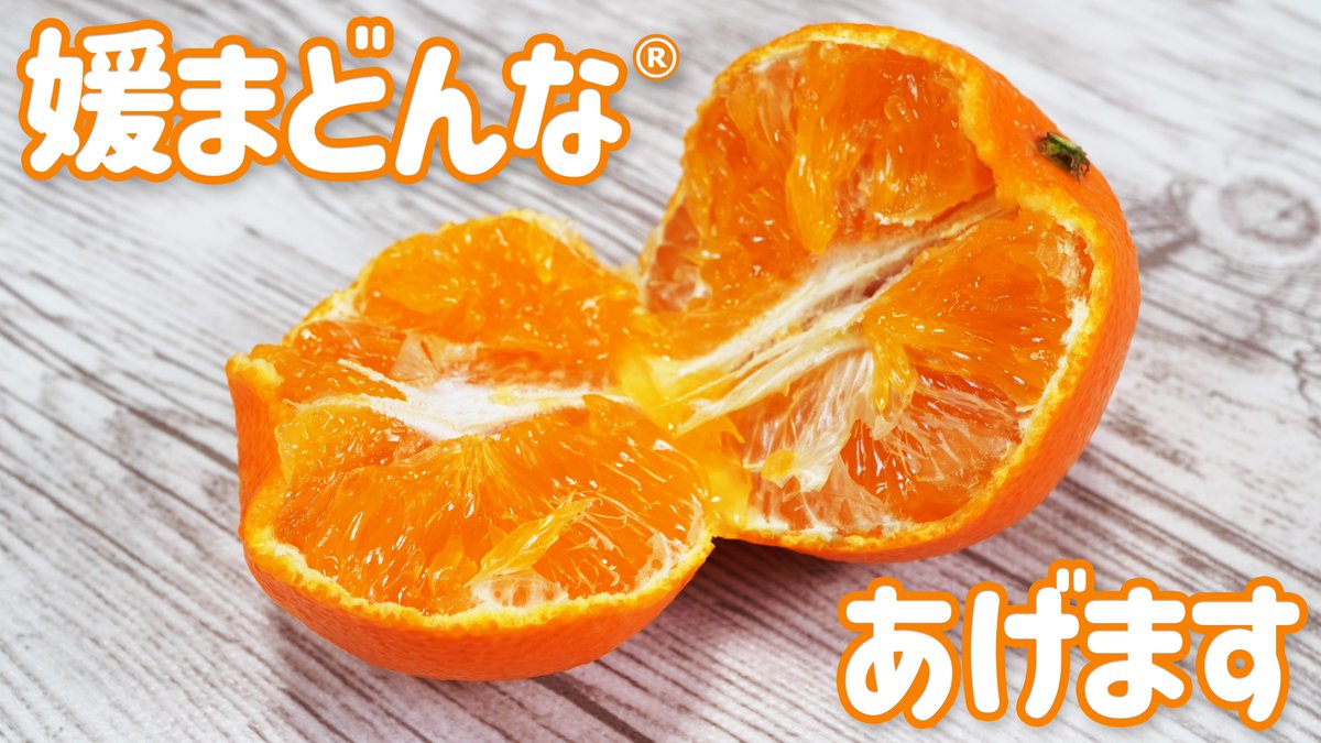 nomakajuen's tweet image. 圧倒的ぷるぷるの暴力！媛まどんな2kgを2名様にあげます。12/7 23:59までにフォロー＆リポストでOK。果汁も暴力！自信を持ってめちゃくちゃうまいです。媛まどんなの説明はツリーにあります。