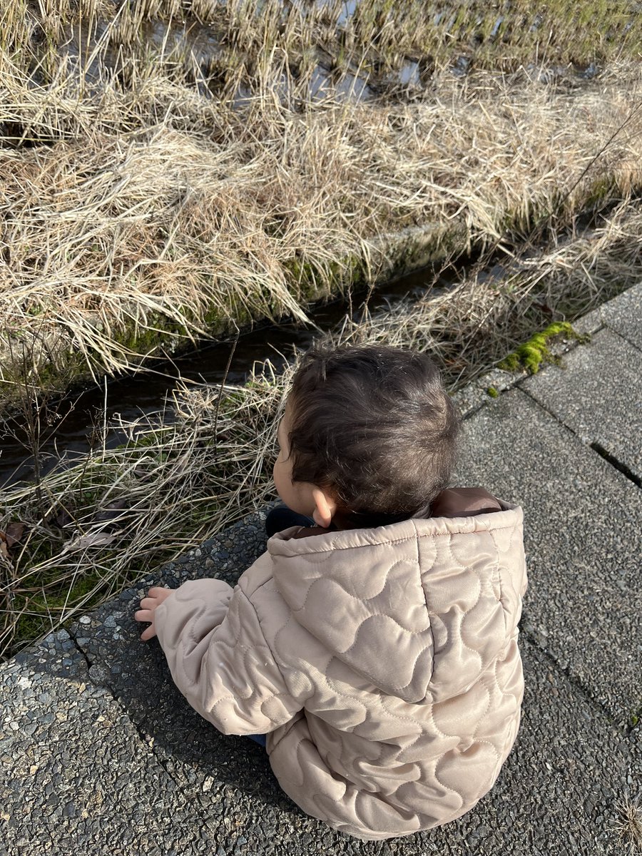 _ri_itsuki_'s tweet photo. 用水路
水を見ながら
土 食べる
「美味しいですか？」
「おいしー！おいしー！！😆」

#いや嘘だろ
#１歳
#１歳１０ヶ月
#お散歩

#短歌 https://t.co/csMr6RPJj6