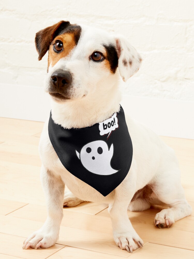 KCstore3's tweet photo. booh" Design For Your dog

If you like this product, then visit our store now through the link in bio. Have a good day
https://t.co/eSWrXCl5M7 https://t.co/O8F8osOp1S