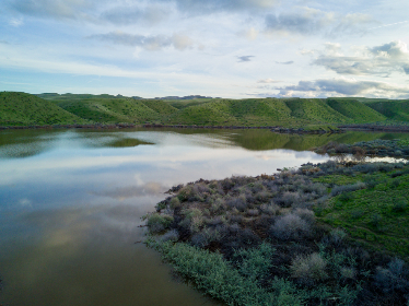 Our native VLVT token has not yet launched but will be used to reward vault managers, investors and referral program participants. Users can stake VLVT to earn veVLVT, a vote-escrowed token version, to vote on Velvet DAO decisions and earn VLVT rewards for voting.