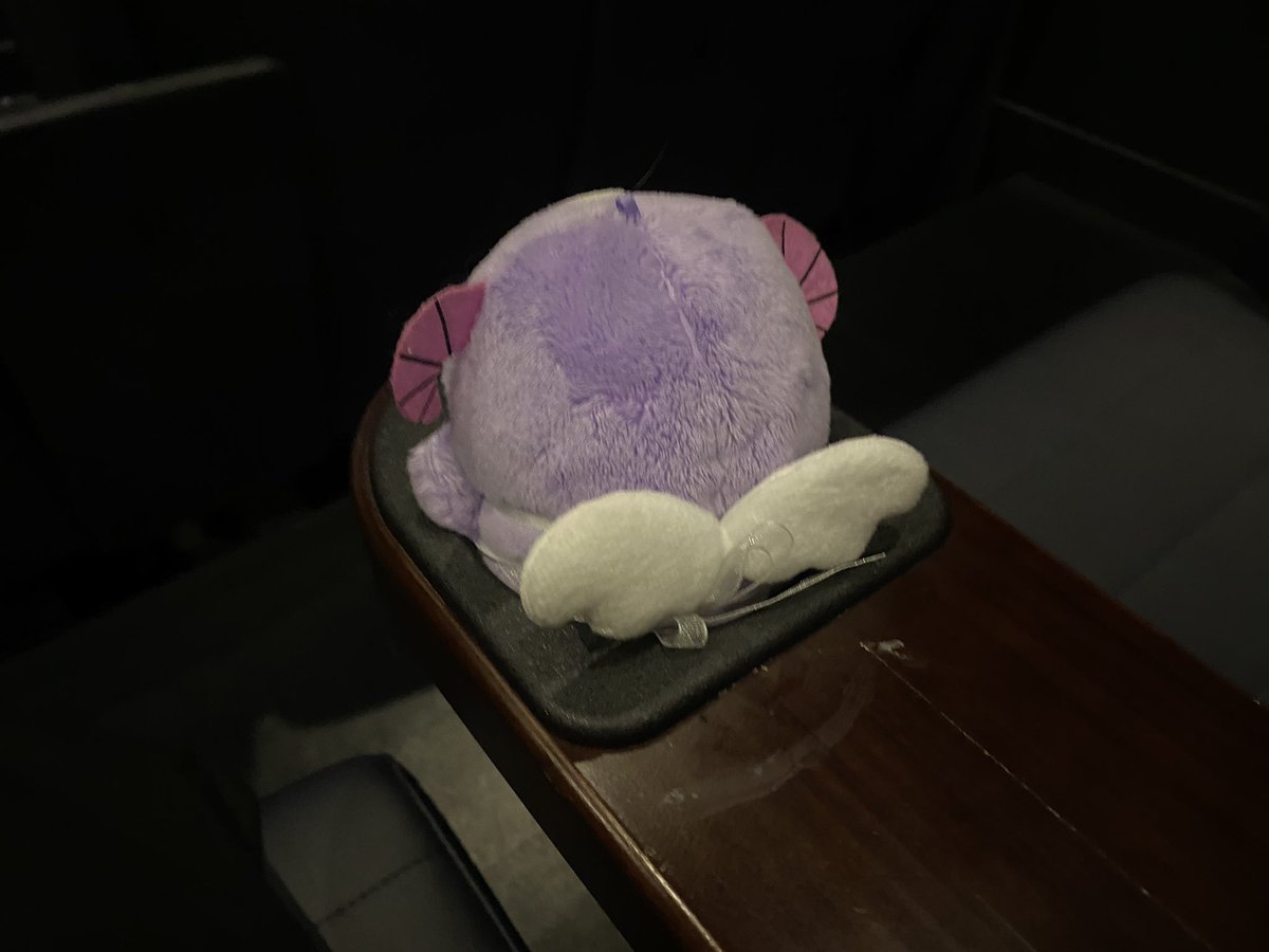 きゃわ…いい……