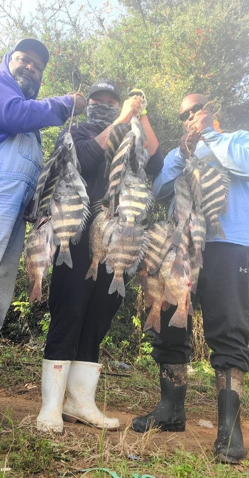 David Le
·
The Sheepshead Bite has been really slow today but me Kevin Davis and Clifton Davis  slowly grinded it out to the end and it surely payoff !!!!!!!📷📷📷 #ReelFishingHolic #landbasedfishing #sheepsheadfishing #limitout #gotem 📷📷📷📷📷📷.