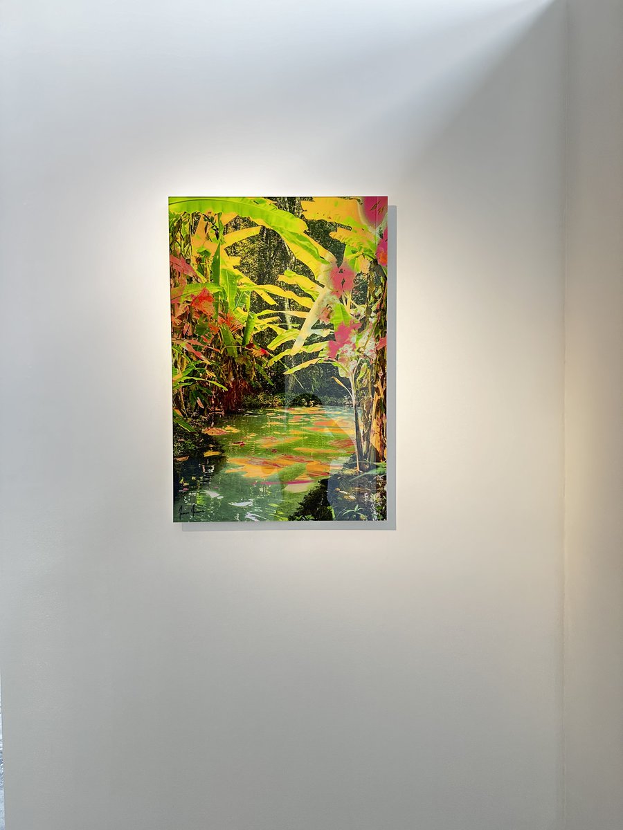 Dahlia Dreszer (@dahliadb) on Twitter photo Super honored and excited to have Brazil Psycho Tropico from Invisible Cities collection exhibited <a href="/LiquidArtSystem/">Liquid Art System</a> gallery in Miami! Humbling to have my art next to such talented artists! Super honored and excited to have Brazil Psycho Tropico from Invisible Cities collection exhibited <a href="/LiquidArtSystem/">Liquid Art System</a> gallery in Miami! Humbling to have my art next to such talented artists!