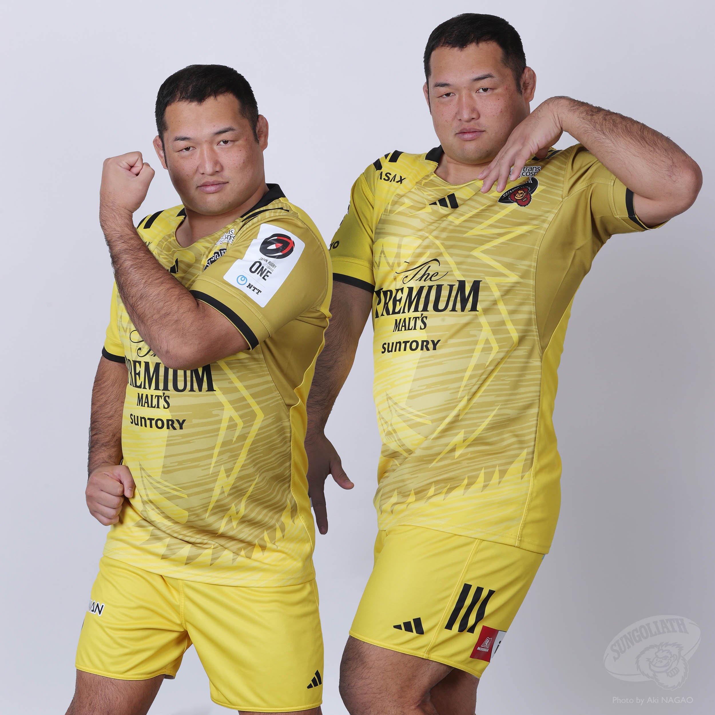 サンゴリアス君 on X: 