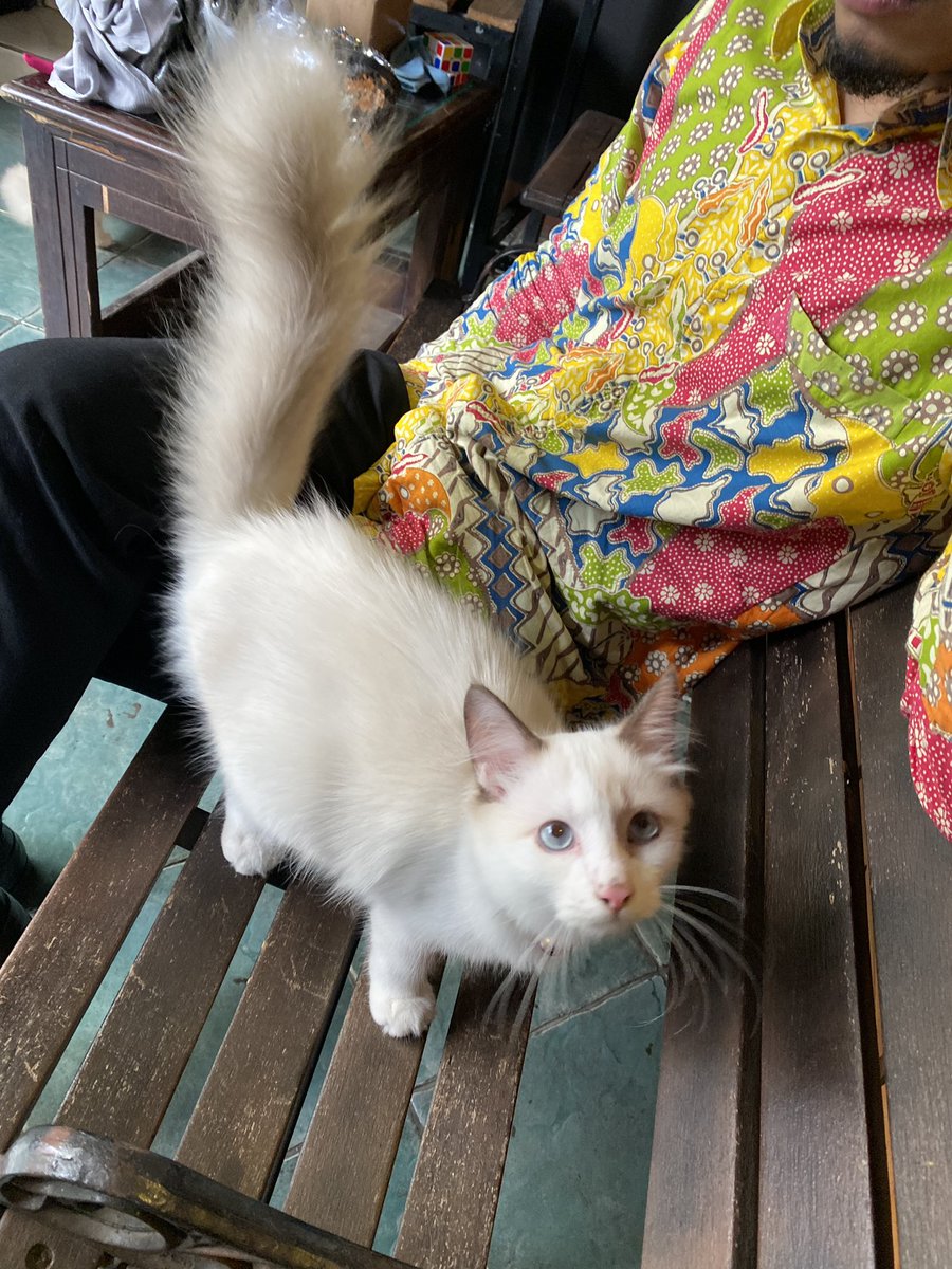 Zashika Ijes tweet media