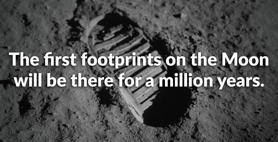 Factinate tweet media