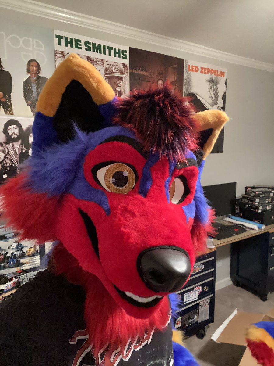 AJ Wolf 🏁🔜LVFC tweet media