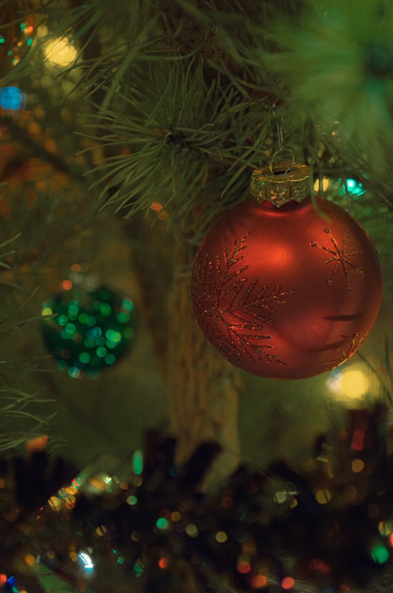 MtyCheck's tweet photo. Ya cada vez menos para navidad🎄21 días exactamente, muchos aún buscando y comprando los regalos o apenas decorando el pino como uno.  

Se decore o no, si hay o no hay regalos, no hay como estar con los seres queridos, no solo esos días si no procurar hacerlo constantemente. https://t.co/fyfxPjGyrp