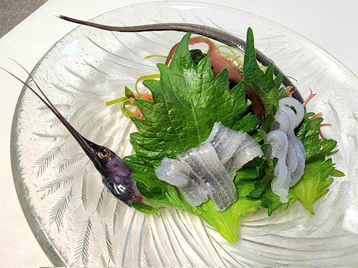 Ryusan_fish's tweet photo. 意外と…旨いぞ...!!!
#シギウナギ https://t.co/ZJ4z44XjJ5