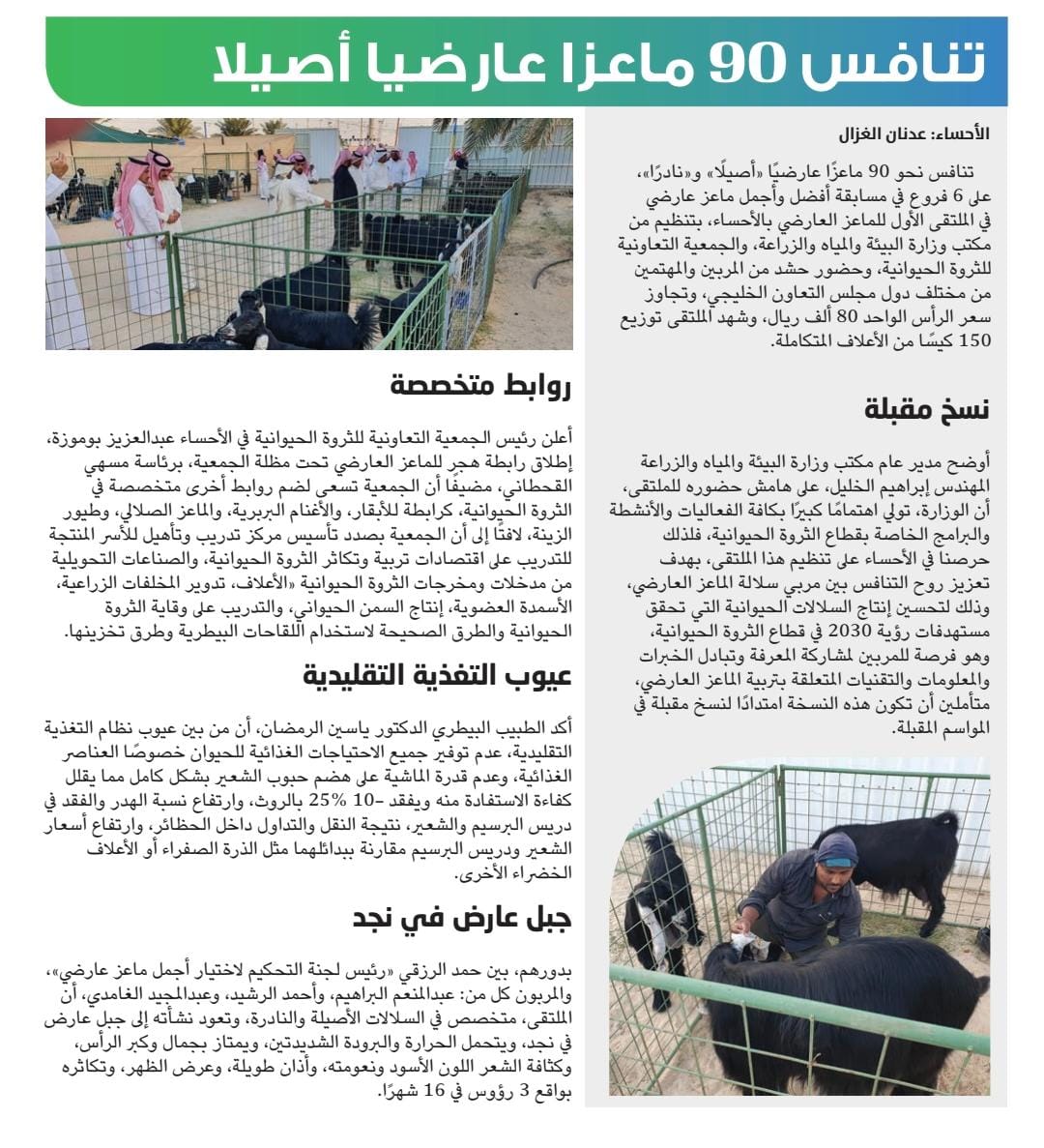 hashalhsa's tweet photo. #الأحساء: تنافس 90 ماعزا عارضيا أصيلا 

لعدنان الغزال الوطن
@Adnanghazal6 https://t.co/GWfGvk7REp