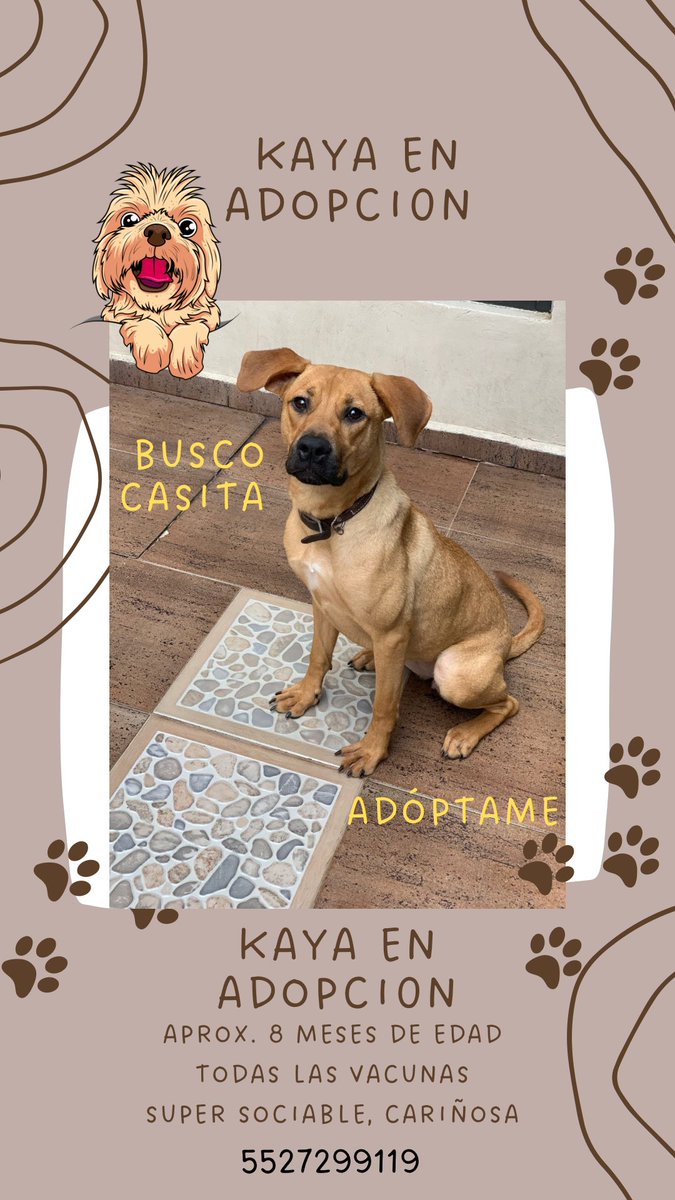 andstatement's tweet image. ¿Me ayudan a compartir?