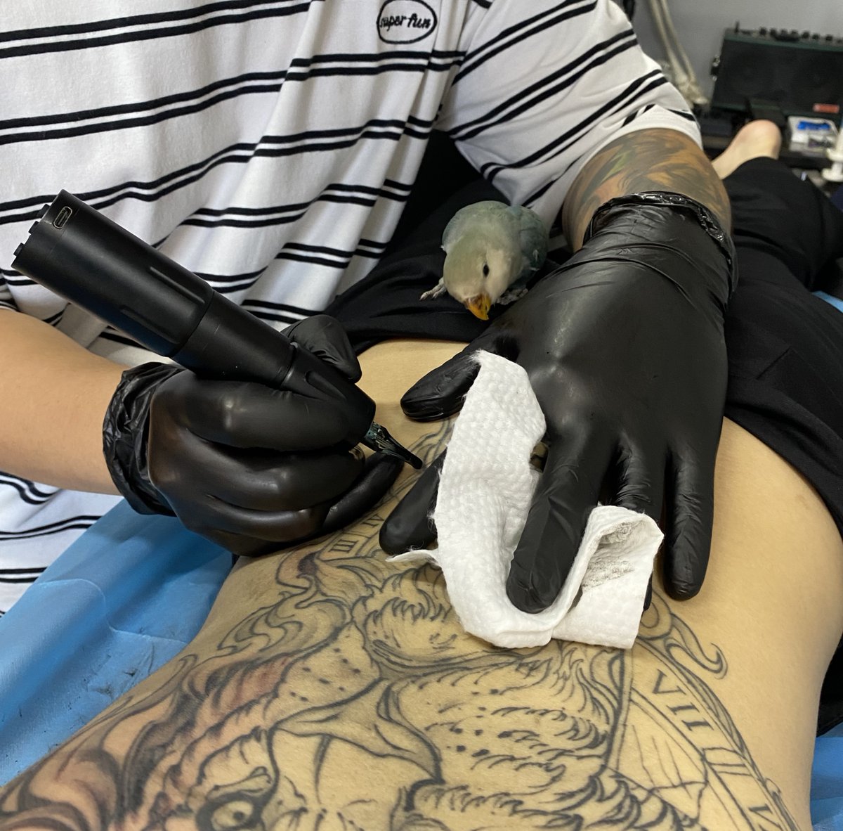 favvosee's tweet photo. This‘s a quiet observer. #tattoomachine #favvosee #tattoo #tattooart #tattooartist https://t.co/ODSfNe7j3f