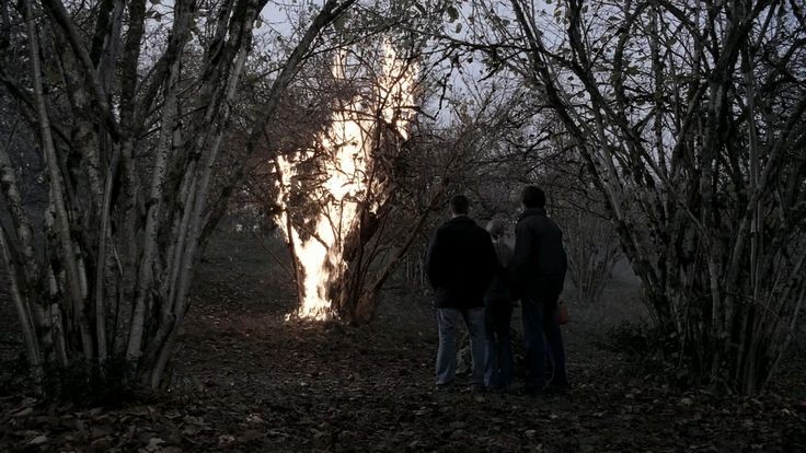 winchester_ily's tweet image. the aesthetic of supernatural is so beautiful