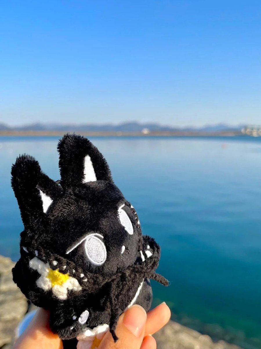 🇨🇳接受箱G.O

再贩｜徐明浩 <a href="/Meowongs/">묭이즈</a> 10cm 玩偶+青蛙服

12.18截止｜玩偶国内制作 无需国际邮  

Link：k.youshop10.com/C4XiwIg8
微店/微博：X号接受箱

#세븐틴 #SEVENTEEN #THE8