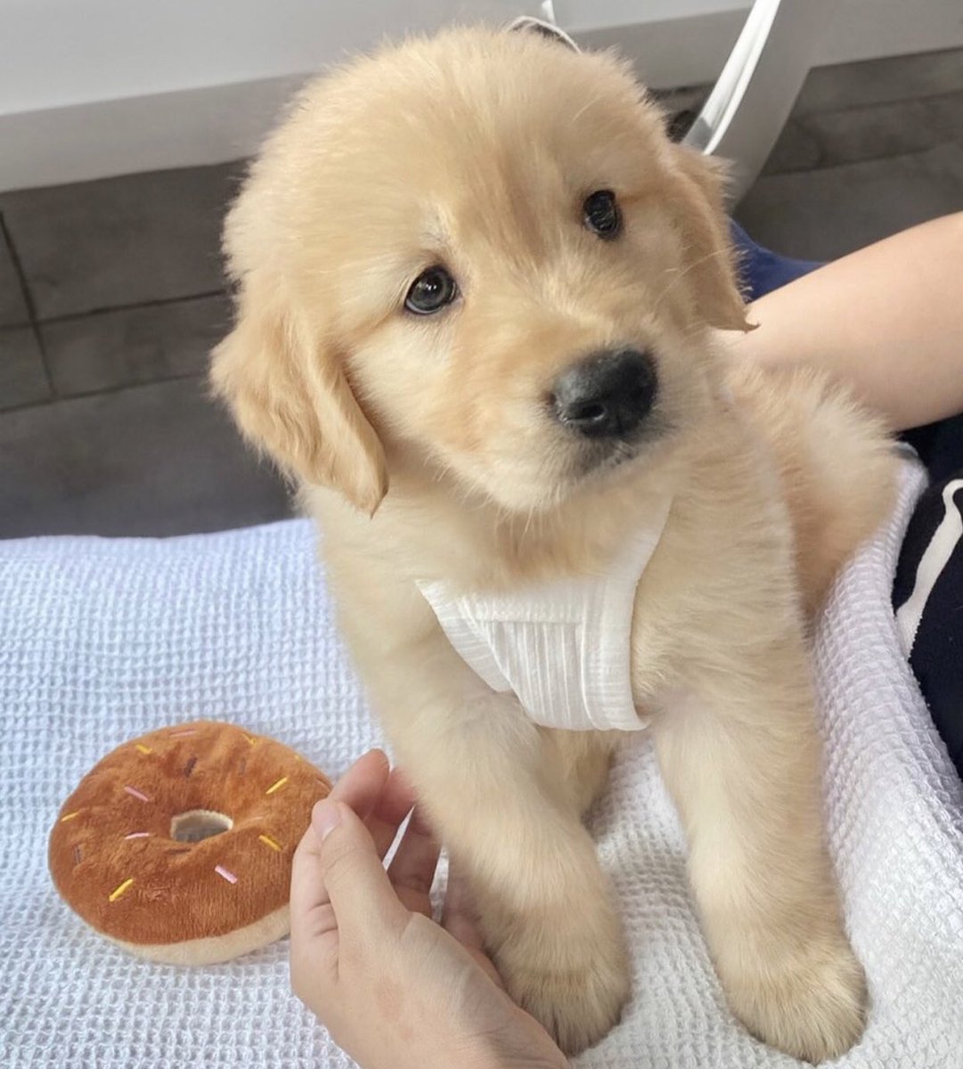 takemybear 🐶 tweet media