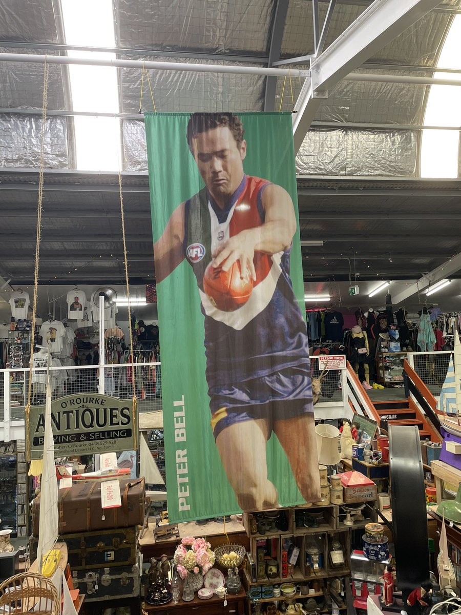 Riley Nelson tweet media