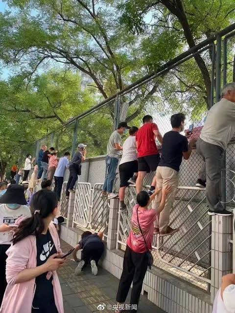 nagoomagic's tweet photo. แม่ไอ้ปุ้กพร้อมปฎิบัติการสลับเวรยามเฝ้าละ https://t.co/iDEO8oUuzT