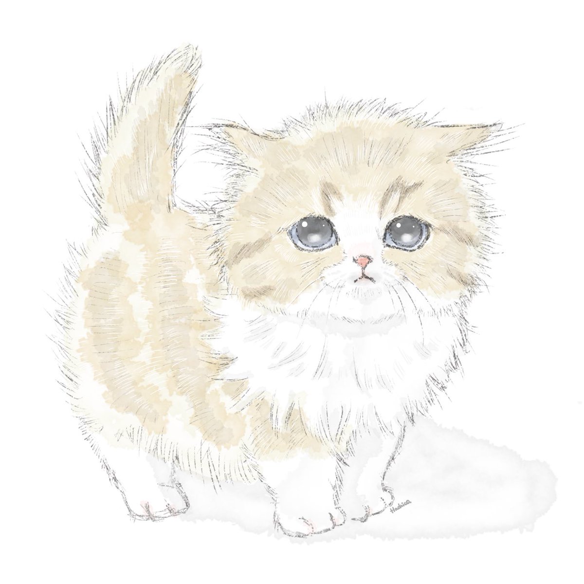 アポロをお迎えするきっかけになった猫ちゃん。元気かな☺️

#猫イラスト