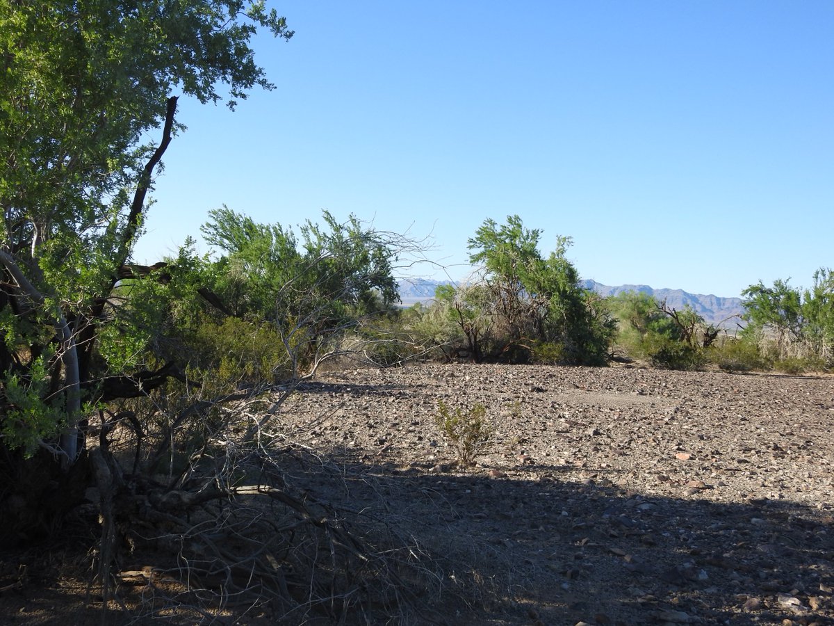 Basin & Range Watch tweet media