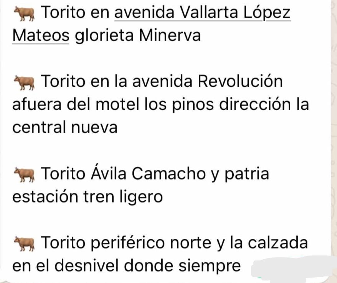 toritojalisco's tweet photo. Toritoooo https://t.co/9qtcF7clKm