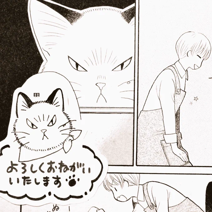 【告知】発売中の、フォアミセス1月号(秋田書店)にて「おひとりさま男子は猫の手が必要です!」6話が掲載されてます。真宙の同僚、須百くんが訳あっておうちに来たよ…!? よろしくお願いいたします!🐈