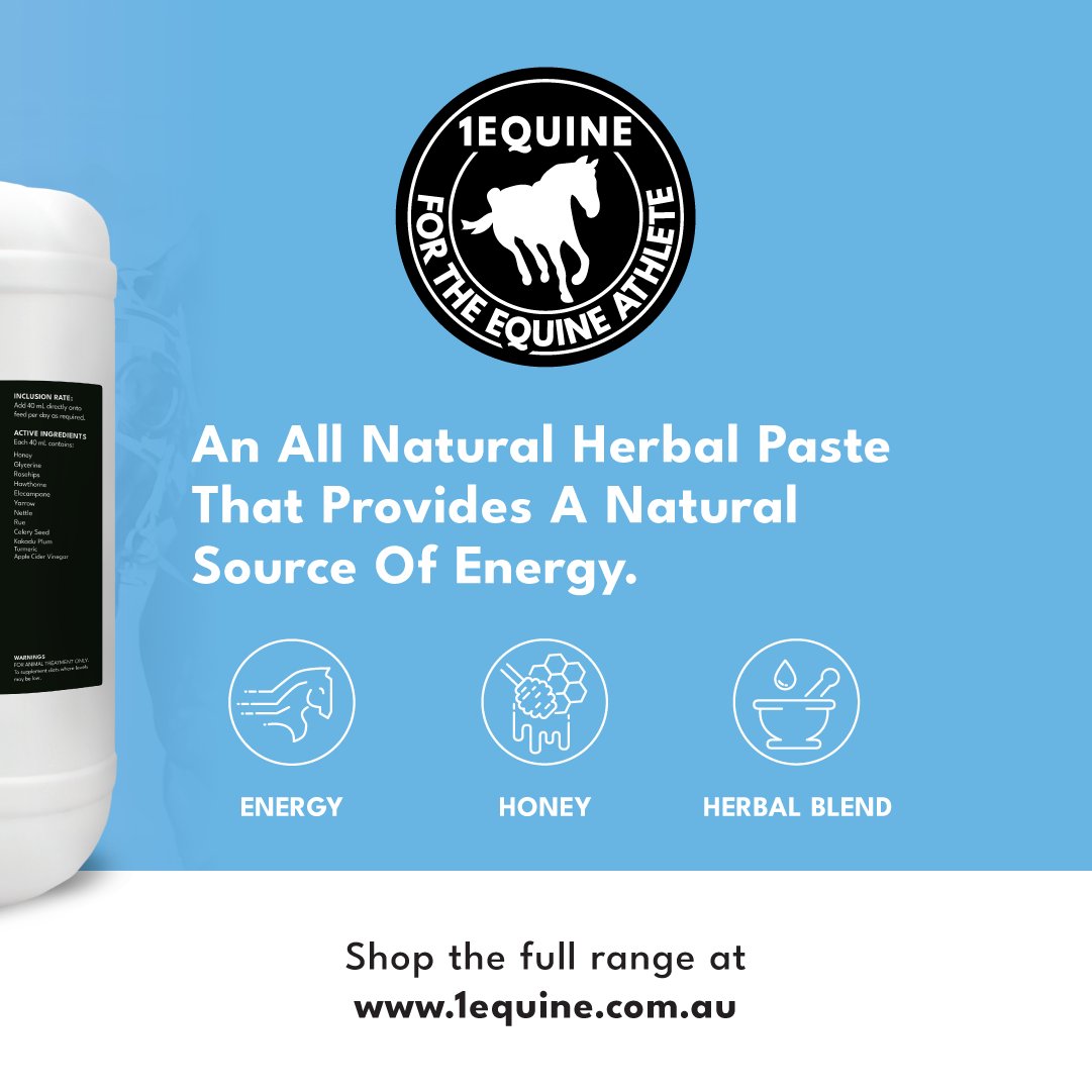 1EQUINE Lung Maintenance:

✔️ Energy
✔️ Honey
✔️ Herbal Blend

1equine.com.au/products/lung-…

#ForTheEquineAthlete