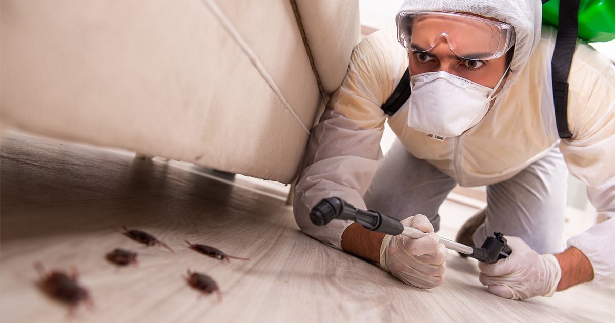 KashonMY's tweet photo. As ex-staff syarikat yang handle pest control, ada satu cara aku nak share supaya korang boleh maintain kebersihan &amp; elakkan serangga mcm lipas, semut berkeliaran dalam rumah. https://t.co/HRy1fM9nrN