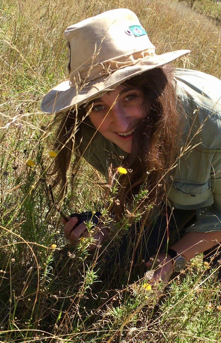 A big welcome to our new Editor for Australasian Plant Conservation, @lys_m_weinstein ! Exciting times ahead for APC, with Alyssa's first issue being the Summer issue, 32(3) Read more about Alyssa here: anpc.asn.au/.../introducin… Learn more about APC here: anpc.asn.au/apc/