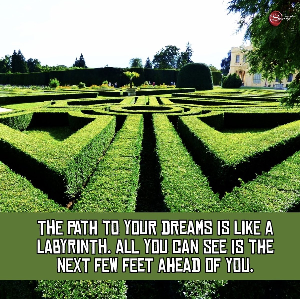 The path to your dreams is like a labyrinth. All you can see is the next few feet ahead of you.
