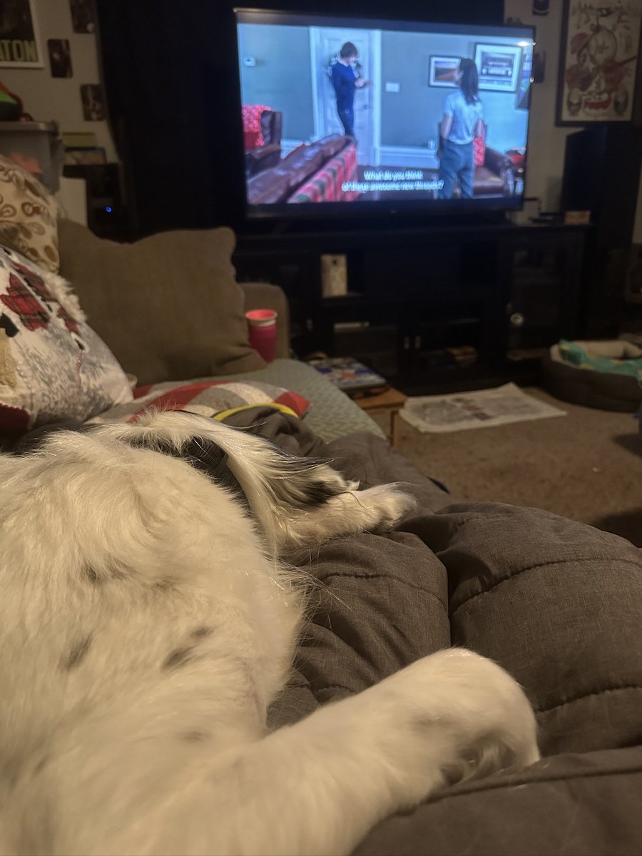 lara814's tweet image. Love having a dog that knows I’m not feeling well and comes to be my hot water bottle.