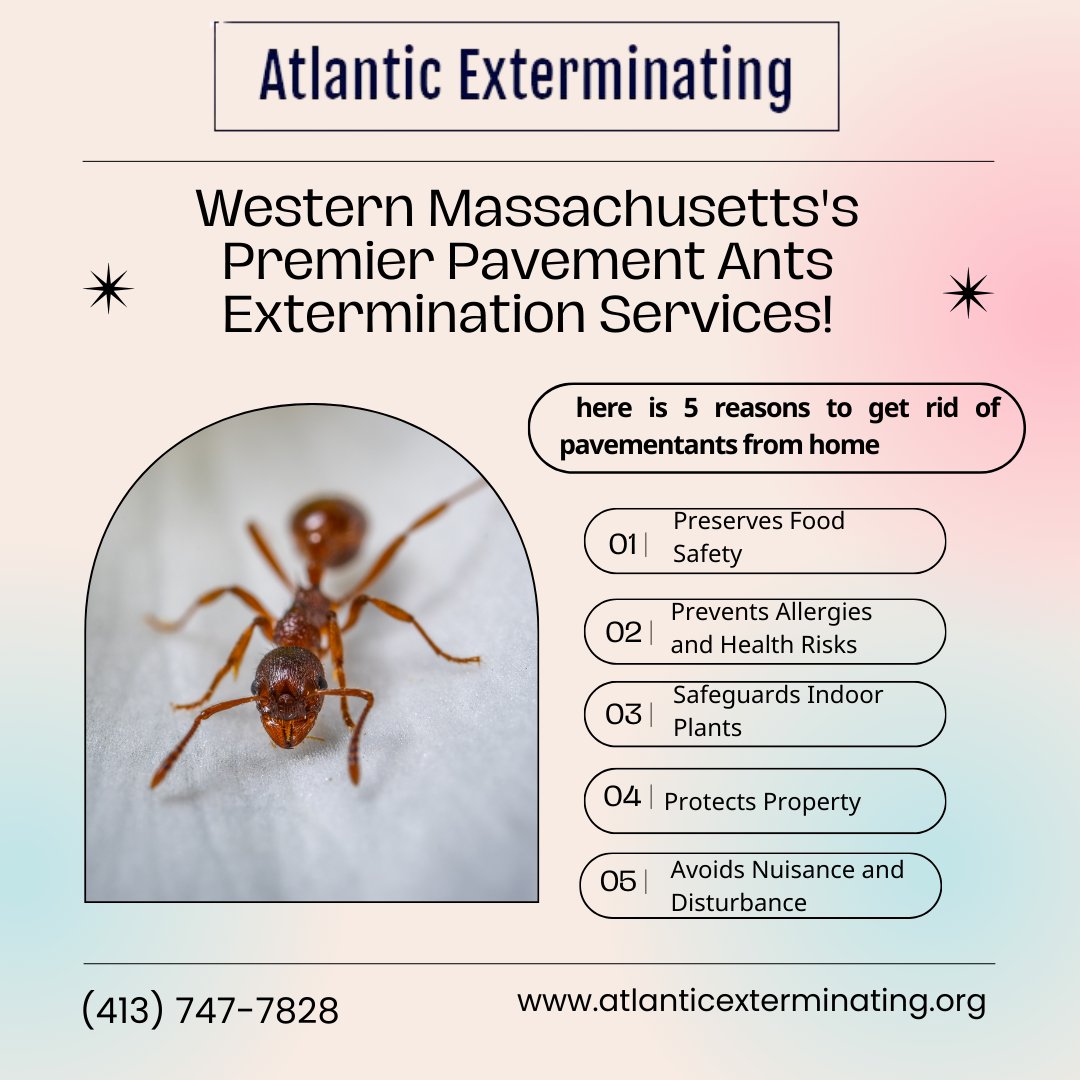 atlcpestcontrol's tweet image. Western Massachusetts&apos;s Best Effective Pavement Ants Control!

Take action now! Explore atlanticexterminating.org/ants-control-s…

#EffectiveControl  #PavementAnts #AntControl #CarpenterAnts #PestControl #WoodDamage  #HomeMaintenance #HomeSafety #PestManagement