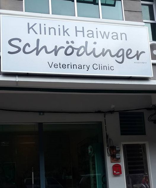 Well, about your cat... There's good news and bad news...