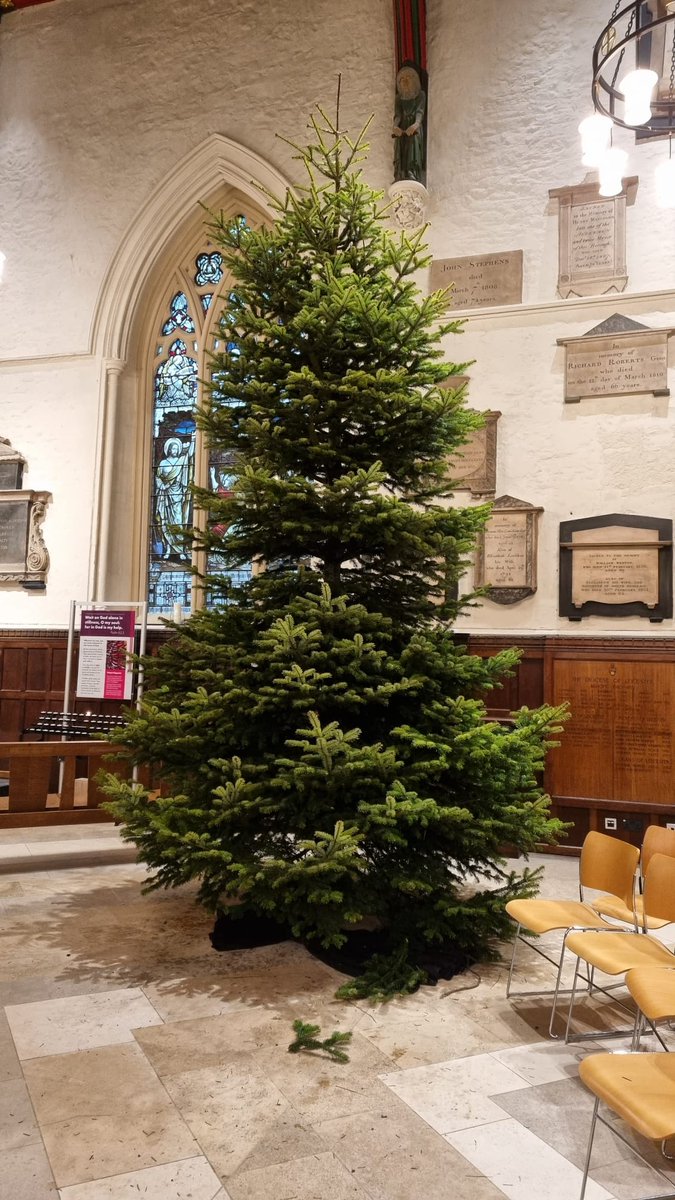 It's a tree-mendous day at the Cathedral...
