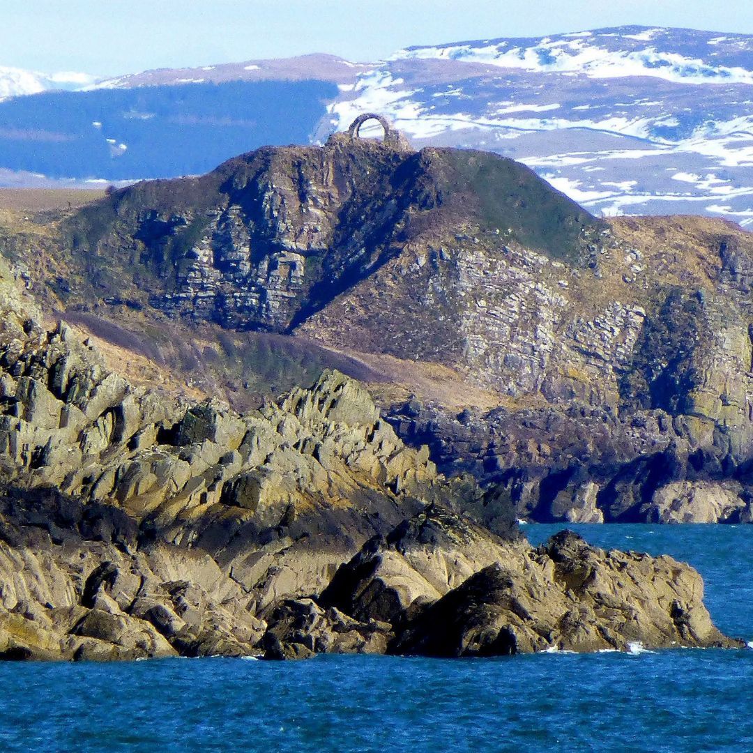 Galloway NPA tweet media