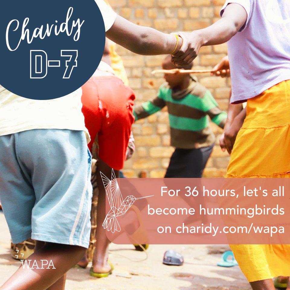 WAPA International tweet media