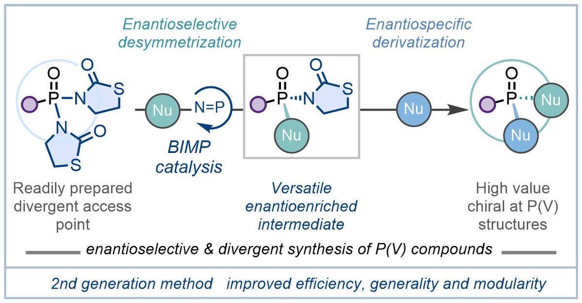 New and improved access to chiral at P(V) structures - check out our 2nd generation solution to enantioselective desymmetrization at P(V): chemrxiv.org/engage/chemrxi… Congrats to @formica_michele, @branislav_ferko, @TomMars73108305, @KenYamazaki5 & @Tim_Davidson14!