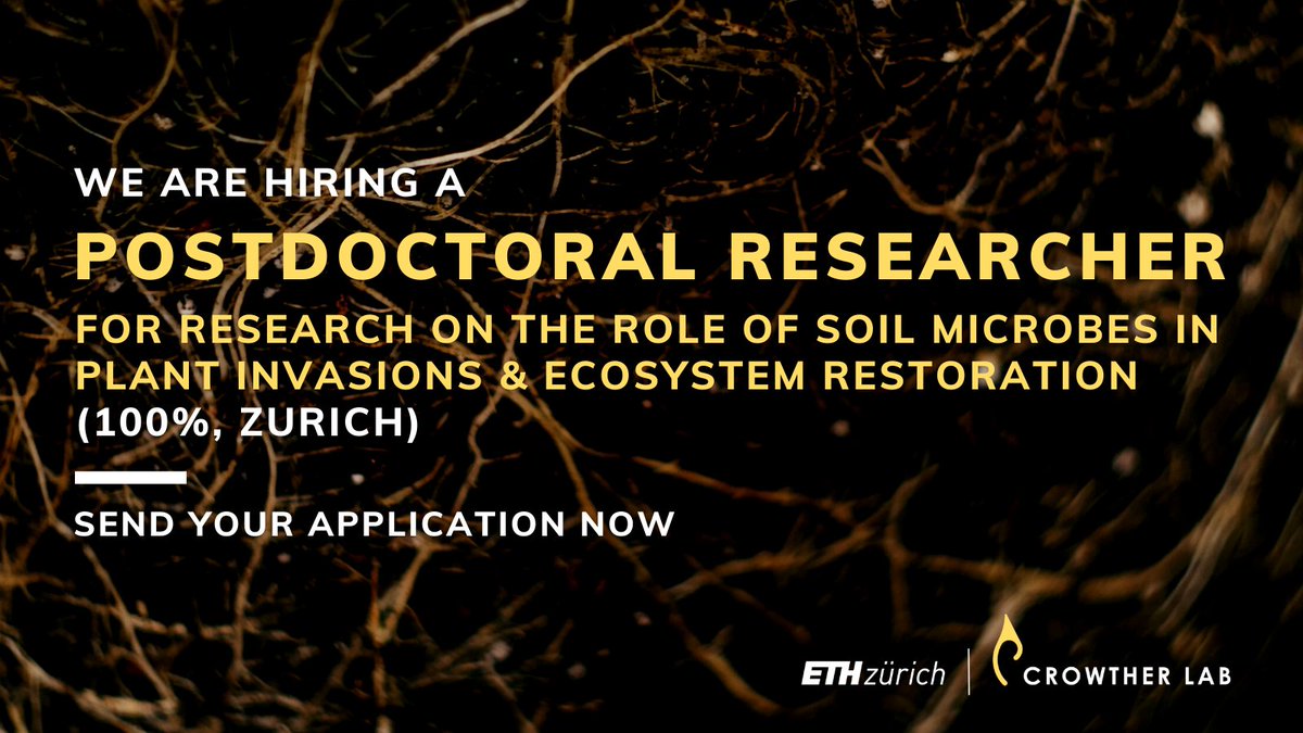📢 We're #hiring a #postdoc! Interested in how mutualists like mycorrhizal #fungi shape plant community composition &amp; function? Then come join @CamilleDelavaux to research the role of #SoilMicrobes in plant invasions &amp; #EcosystemRestoration!

Apply here 👉 crowtherlab.com/open-position-…
