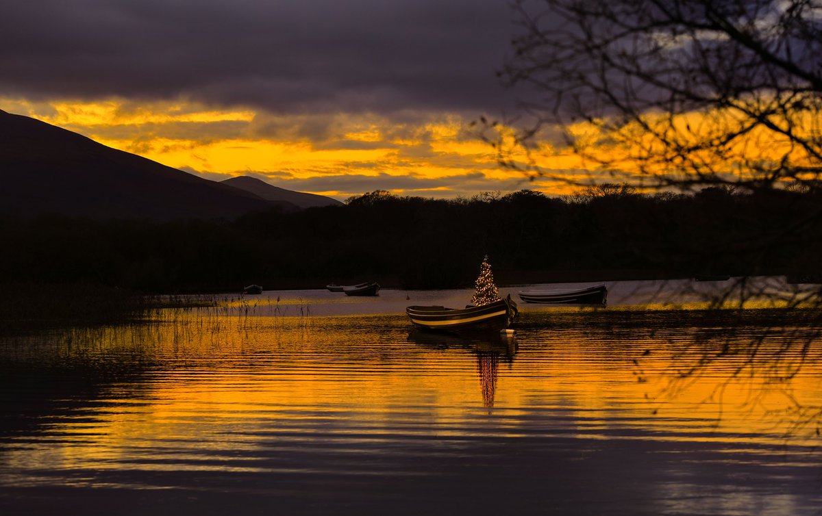 🎄glowing for #Chrstmas … a gap boat moored for the winter on Lough Leane, Ross Castle,Killarney. The Christmas tree is installed by @KillarneyBoats bringing joy to everyone. The lights are timed at 4.00pm every evening. #christmaslights back page @irishexaminer