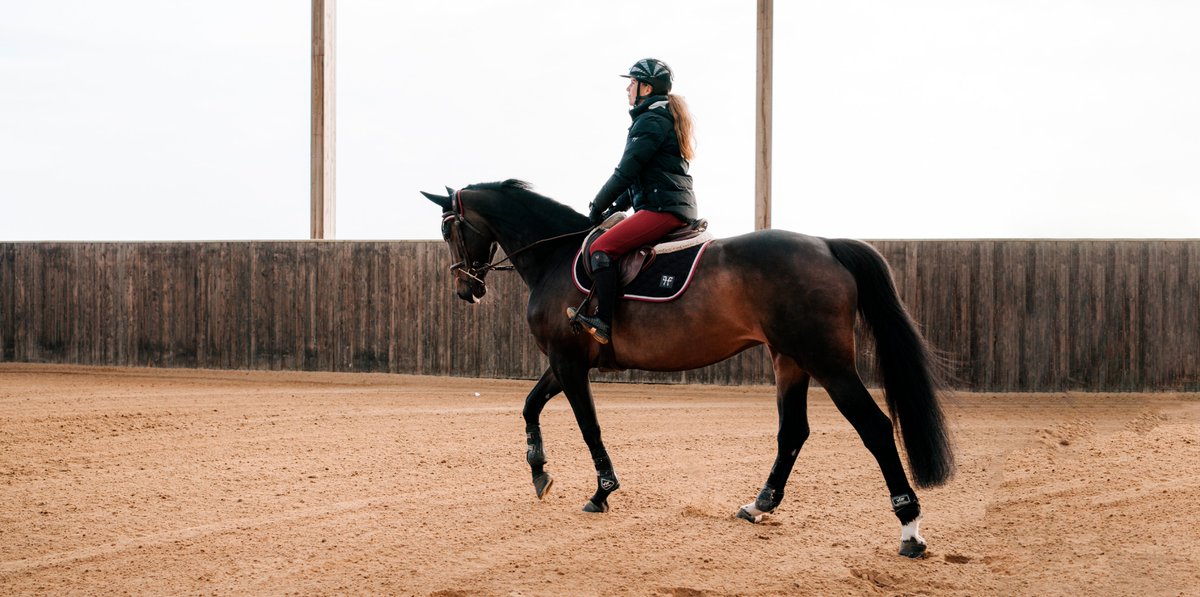 horsepilot.com/fr-fr/horse-ri… les figures de manège : Maîtriser ces figures est indispensable pour une équitation autonome &amp; élégante. Enseignées dès les premiers galops, elles servent à circuler en manège couvert ou carrière en toute sécurité lors d’un cours d’équitation collectif
