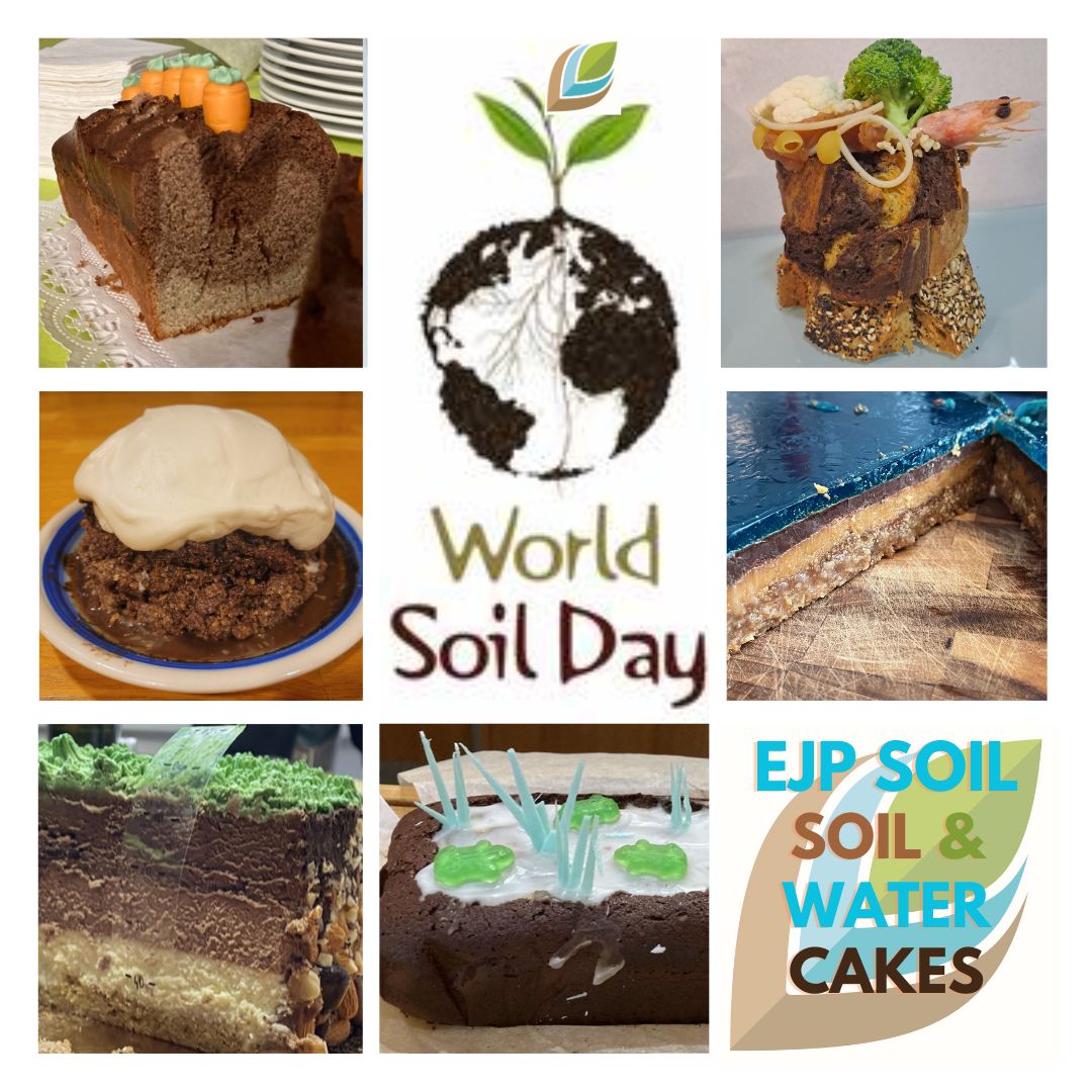 EJP SOIL celebrating World Soil Day - Enjoy a piece of the Soil &amp; Water cake :-)