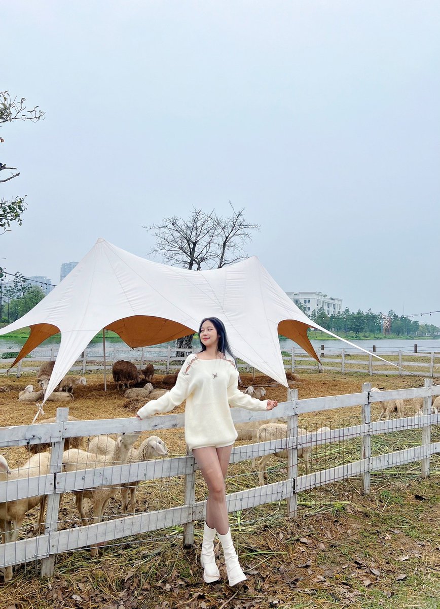 Jethro.vn tweet media