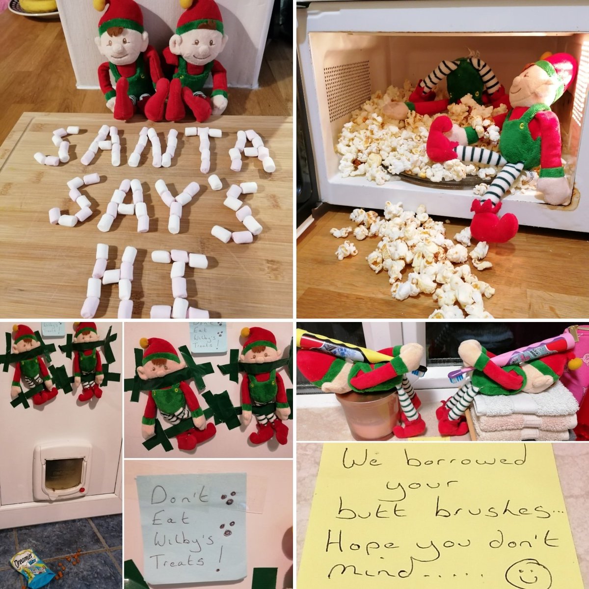 Uh oh - those cheeky elves are up to no good! They've been having popcorn parties, using Alf's & Boo's toothbrushes to clean their bums plus been eating Wilby's Dreamies - an absolute catastrophe!! 😂🙀🤣😭 cmls.world/those-elves/ #TroubleIsBrewing #NaughtyElves #LetsGetBusy