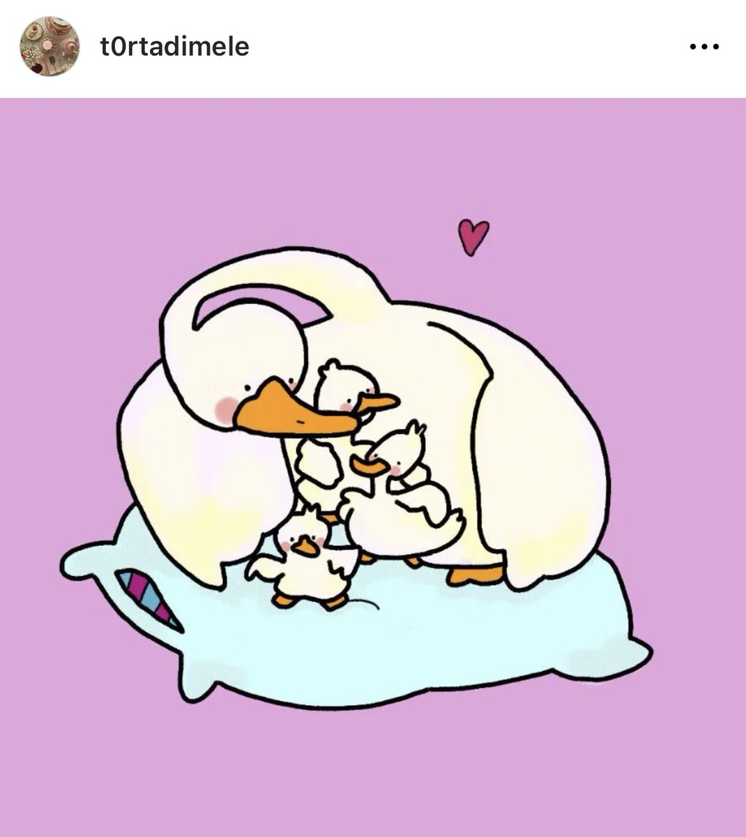 alercolani4's tweet photo. Fai buon viaggio Giulia, un abbraccio fin lassù 🕊️❤️‍🩹#giuliacecchettin https://t.co/vt5hLRJqYB