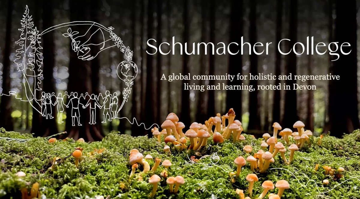 REconomy Practitioners - REconomistas tweet media